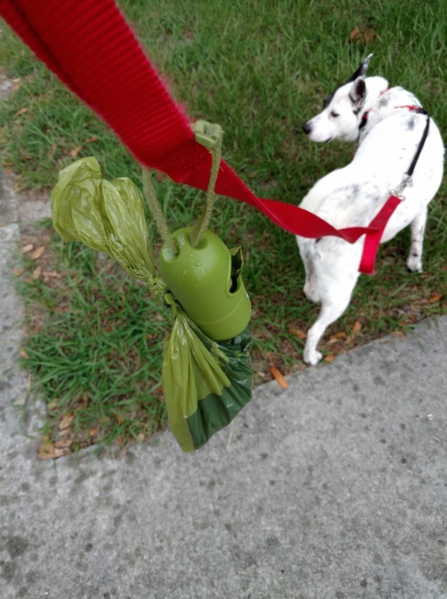 A reviewer&#x27;s image of the green poop bags attached to their dog&#x27;s leash