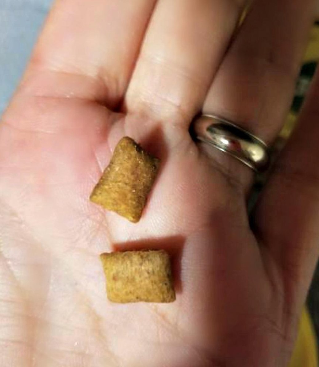 A reviewer&#x27;s picture of the cat treats in their hand