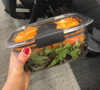 buzzfeed editor holding clear locking container full of salad