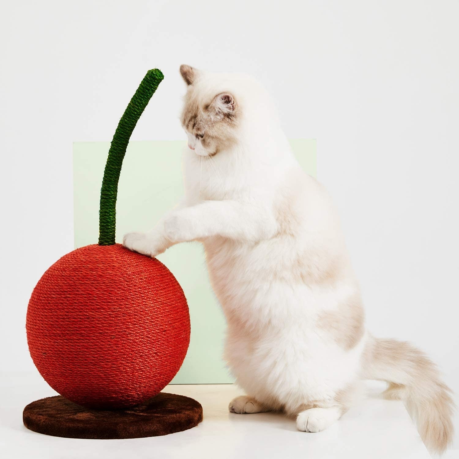 cat next to small rope-covered cherry-shaped scratching post
