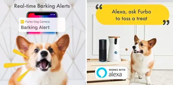 Infographic explaining Furbo&#x27;s real-time barking alerts