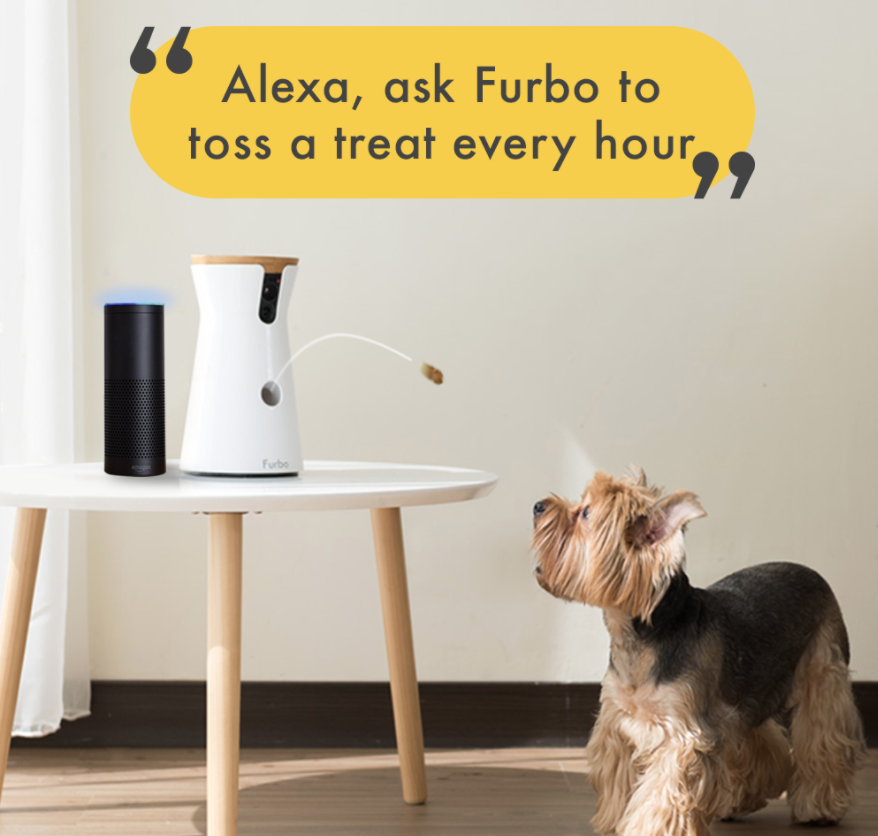 A Furbo throwing a treat to a small dog with "Alexa, ask Furbo to toss a treat every hour"