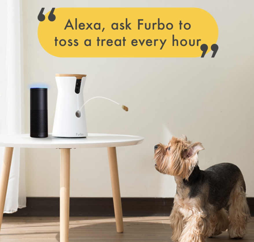 A Furbo throwing a treat to a small dog with &quot;Alexa, ask Furbo to toss a treat every hour&quot;