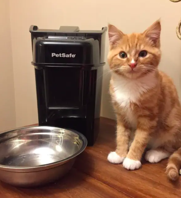 The automatic pet feeder and a bowl