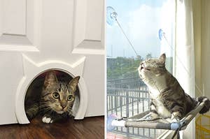 to the left: a cat poking their head out of a hole in the door, to the right: a cat sitting in a window hammock