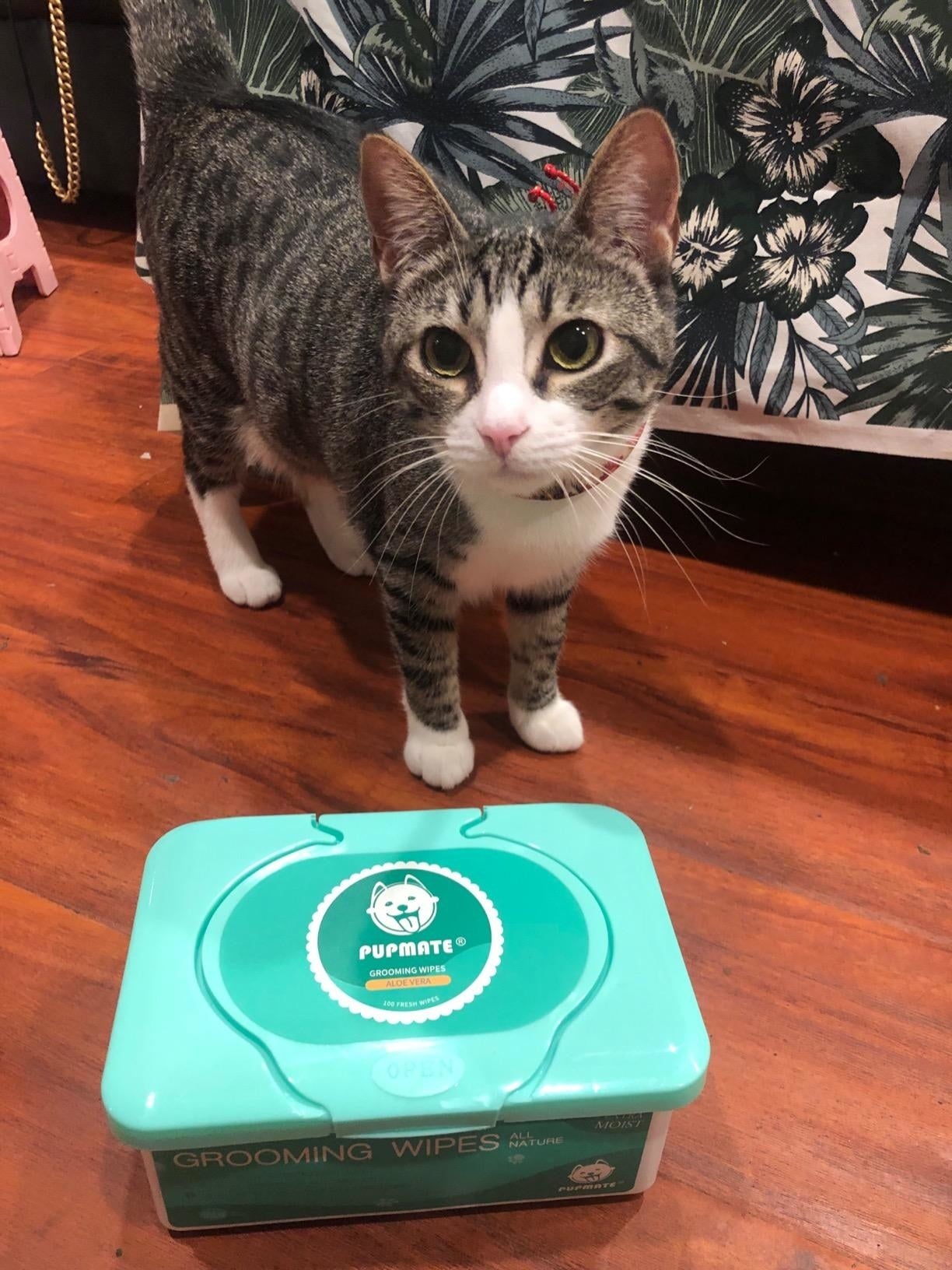 Subscribe & Save Pet Products On Sale For Prime Day