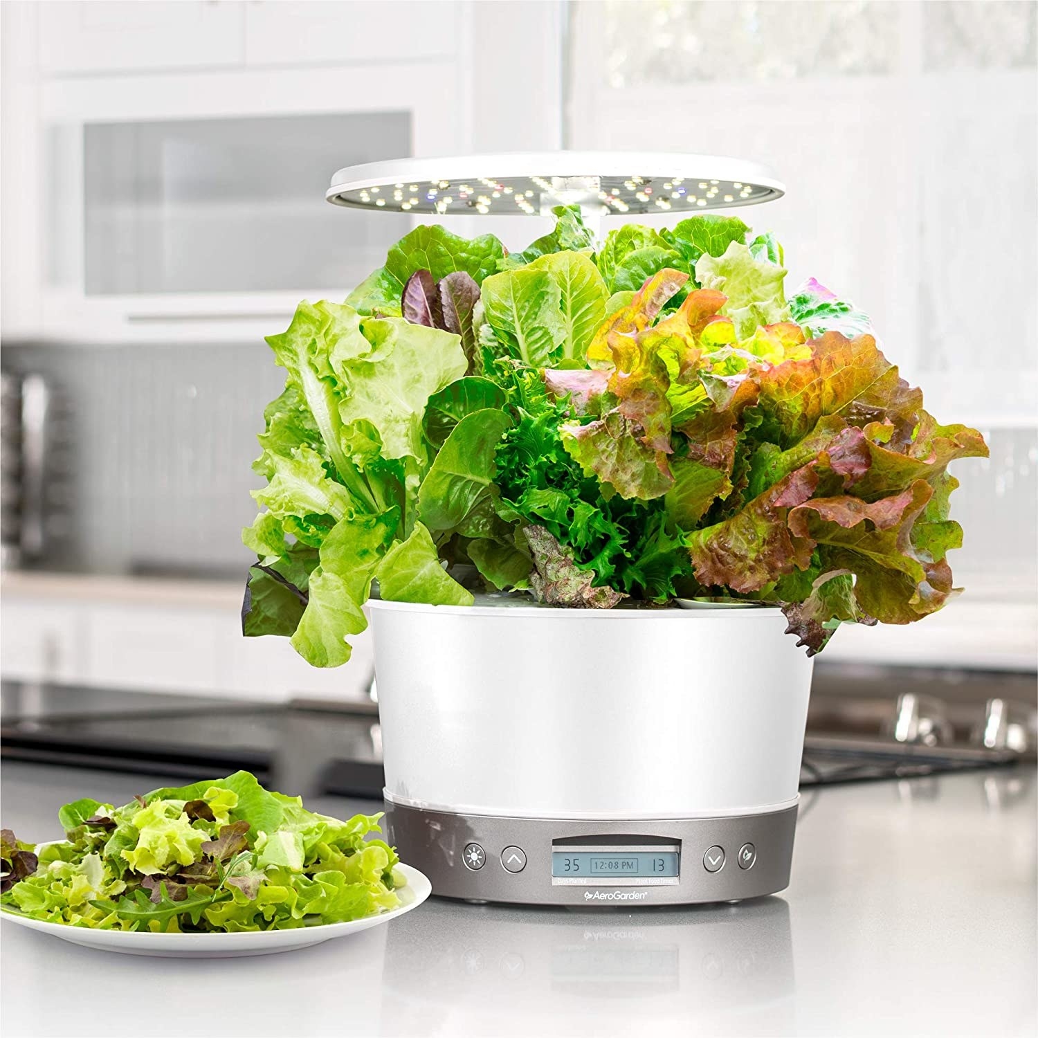 An Aerogarden with lettuce on a kitchen countertop