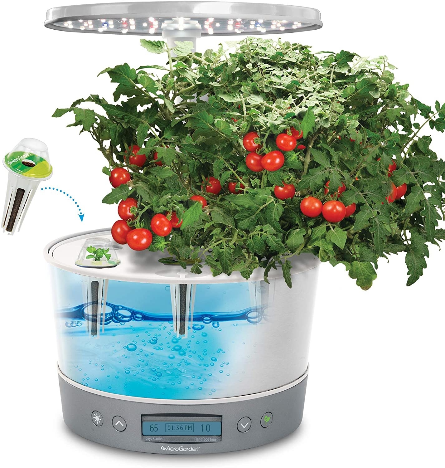 The inside of the Aerogarden filled with water