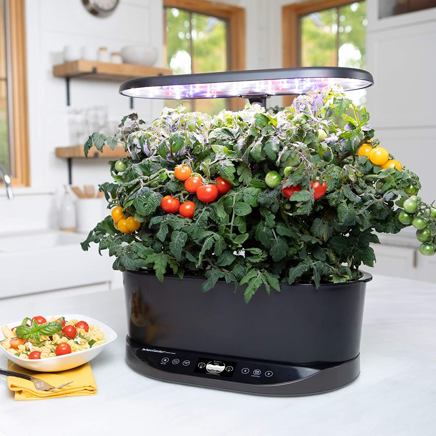 The Aerogarden with tomatoes growing inside of it