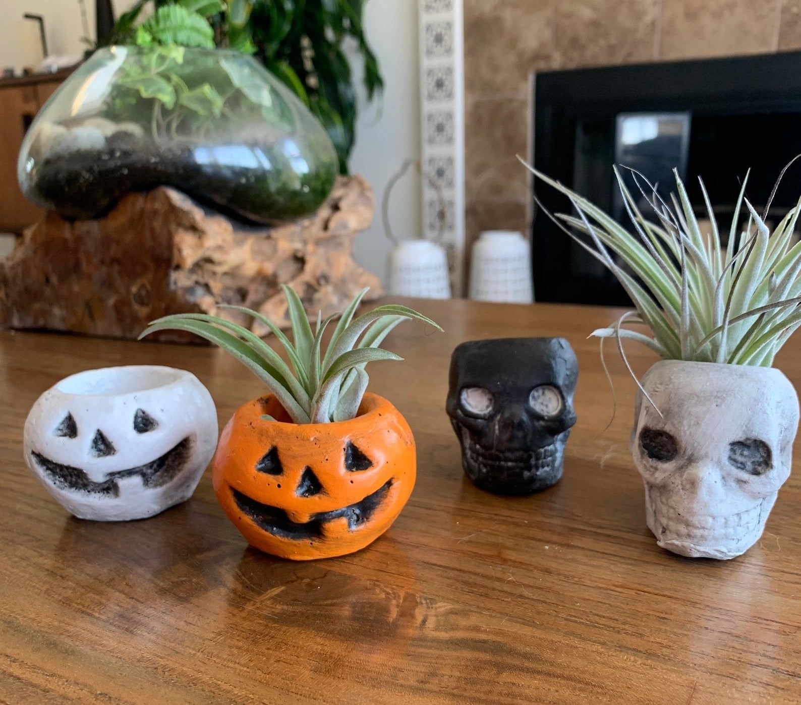 All four pot options — black and white jack-o&#x27;-lanterns and black and white skulls — with two air plants 