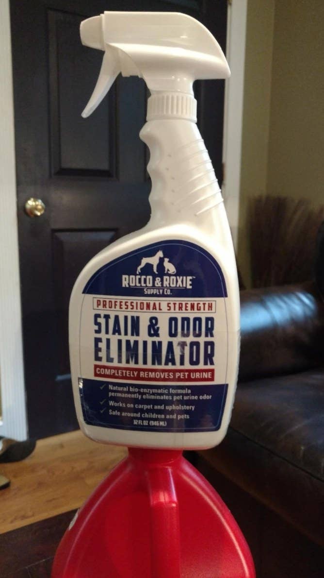 The professional strength stain and odor eliminator in a white spray bottle