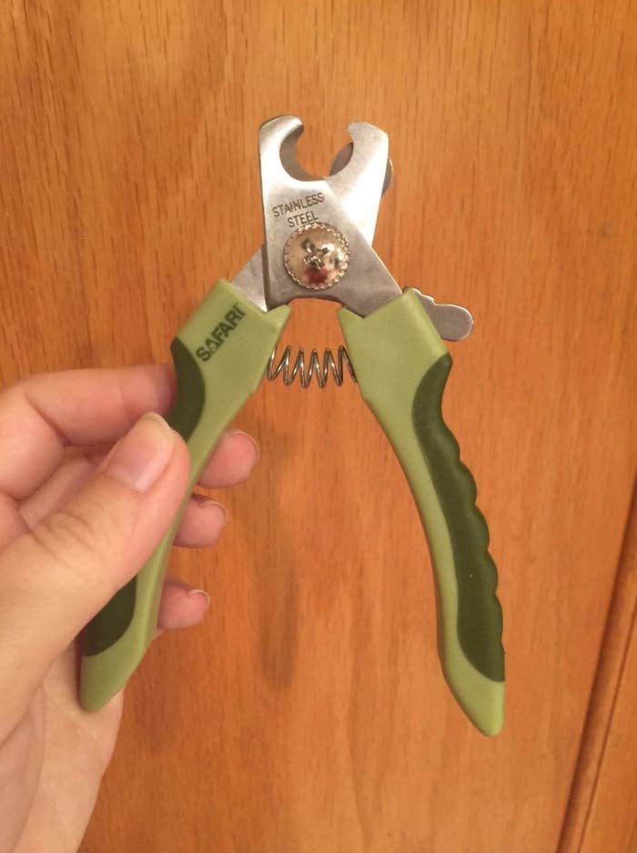 A reviewer&#x27;s image of the green nail trimmers