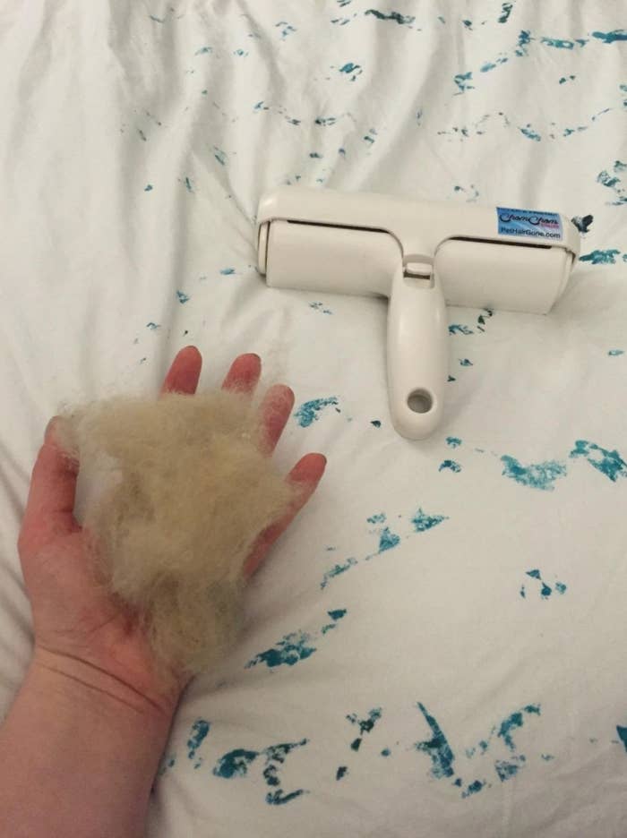 The reviewer with a wad of their pet hair derived from the white pet hair remover