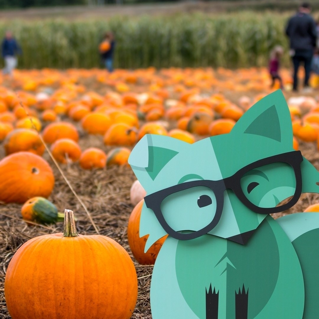 The green animated fox wearing glass at a pumpkin patch