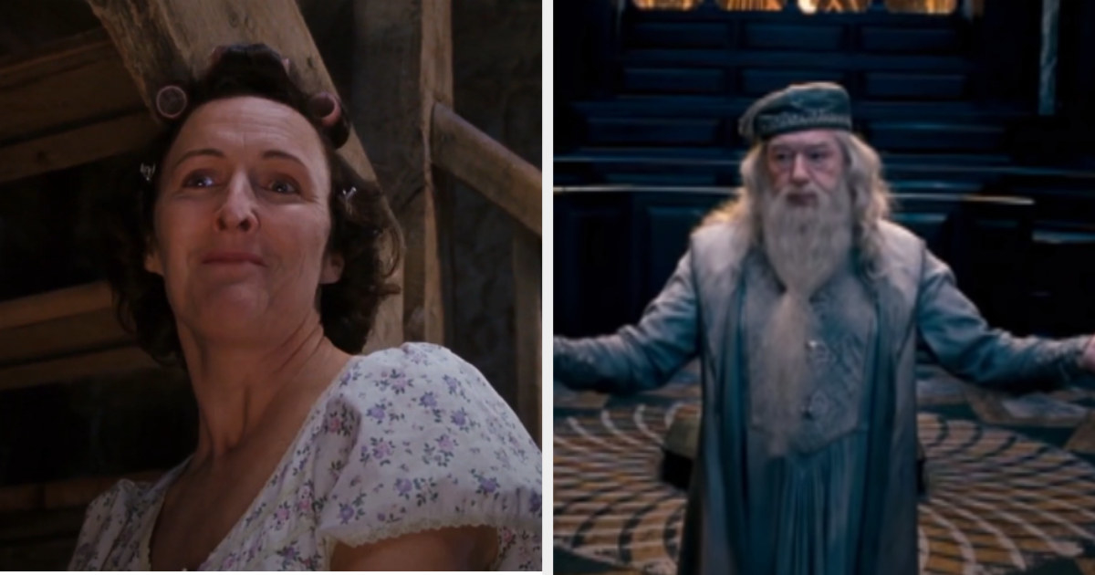 Petunia scolding Hagrid in &quot;Sorcerer&#x27;s Stone&quot; and Dumbledore speaking at Harry&#x27;s hearing in &quot;Order of the Phoenix&quot;