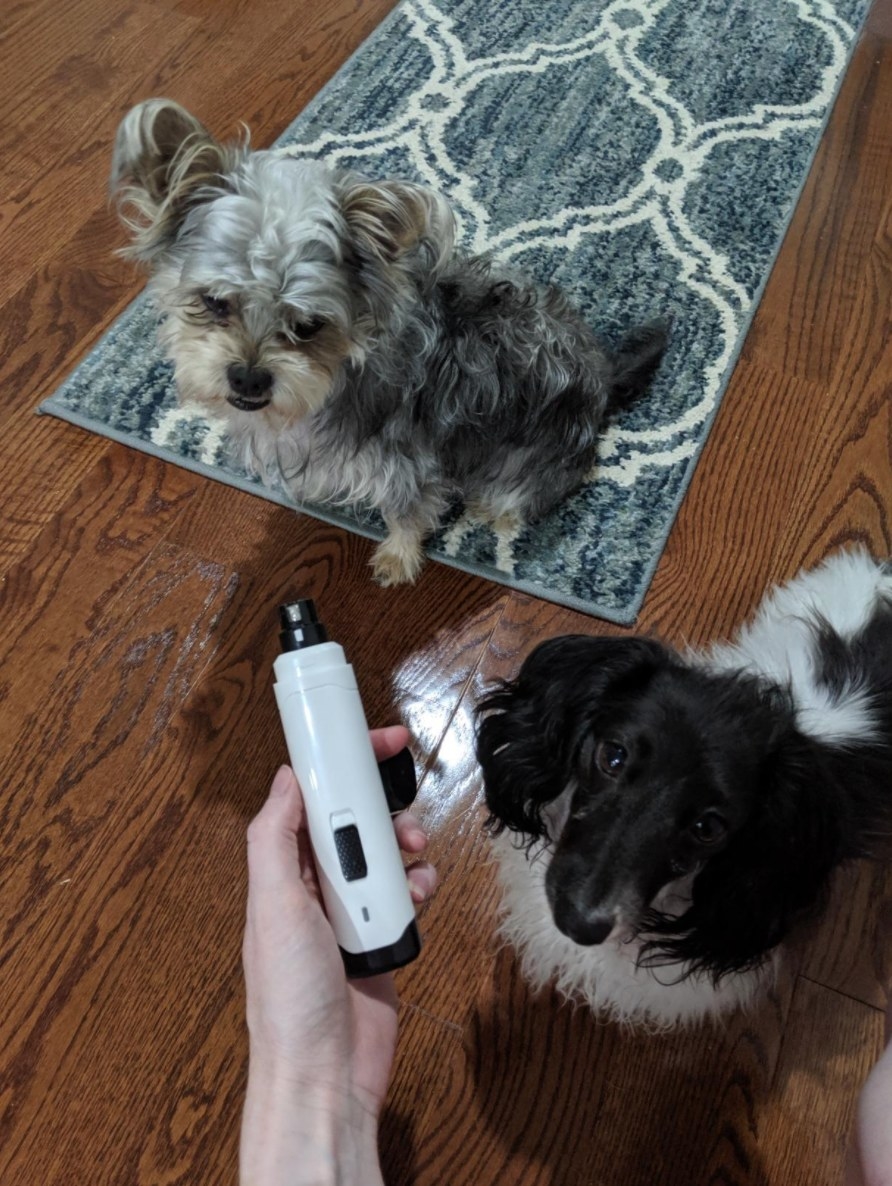 The reviewer&#x27;s image of the nail trimmer with their two dogs