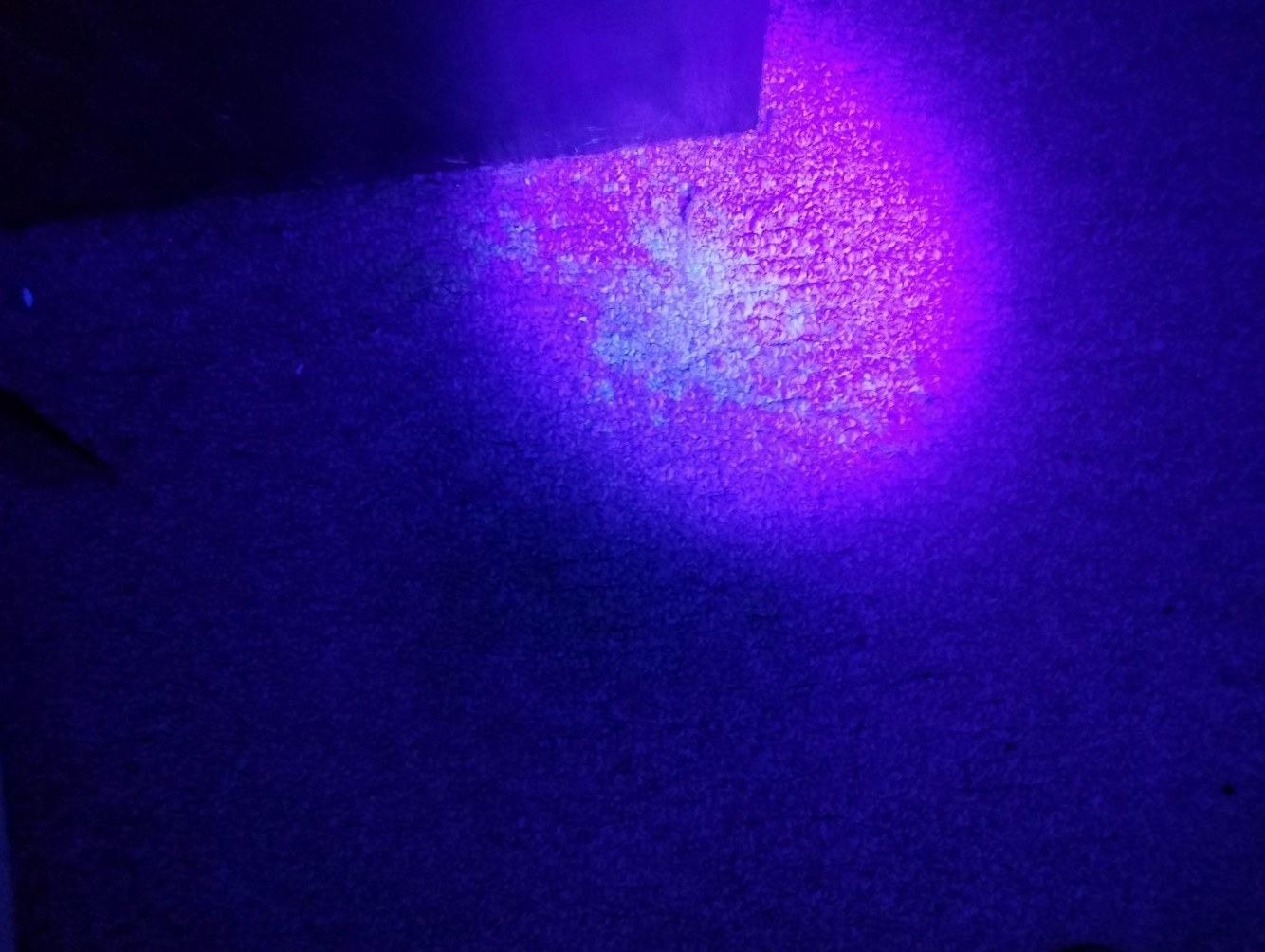 A reviewer&#x27;s photo of the effects of the UV flashlight