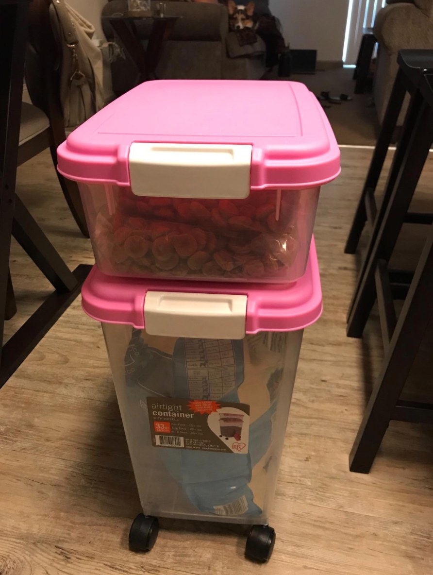 A reviewer&#x27;s image of the food storage container in pink and clear with snap lids