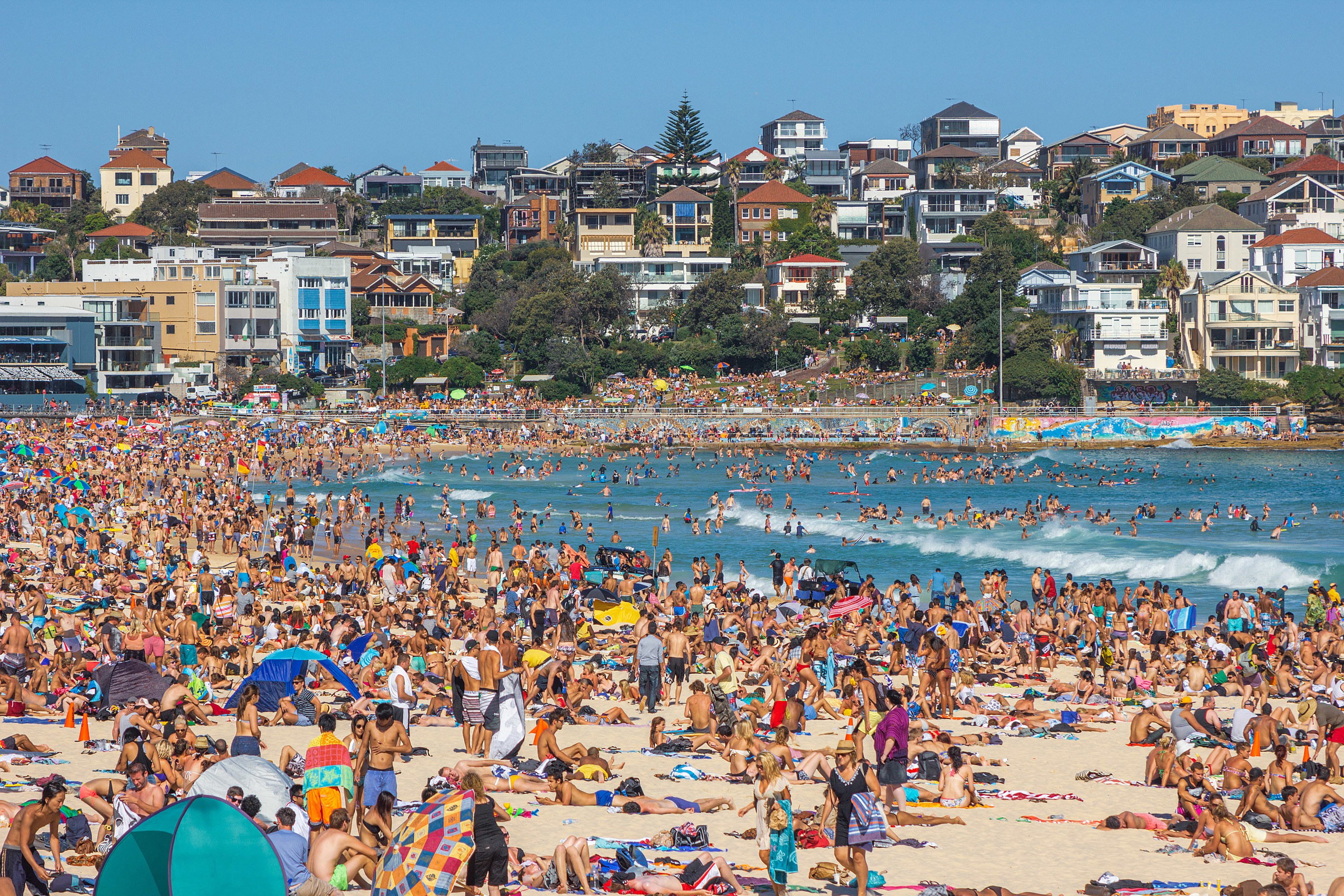 A busy, crowded Australian beach