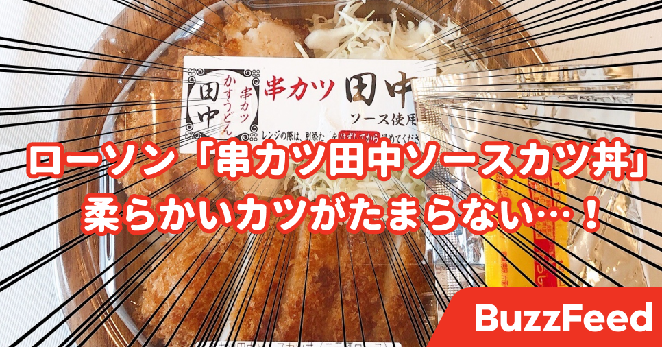 串カツ田中とまさかのコラボ ローソンの 598円カツ丼 味もボリュームも別格でした