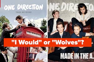 One Direction album covers from take me home and made in the am 
