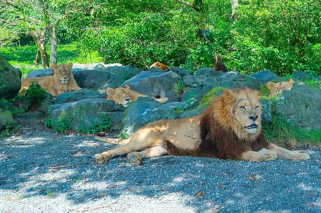 スポーツジムで遭遇したヘンテコな人々 17選