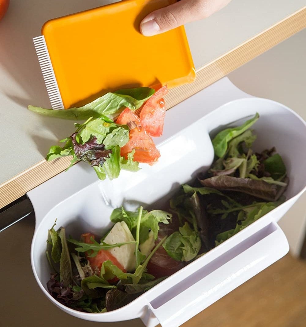 A person dumping salad scraps into the bin with the scraper