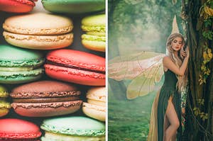 On the left, various macarons, and on the right, a fairy leaning on a tree in the forest