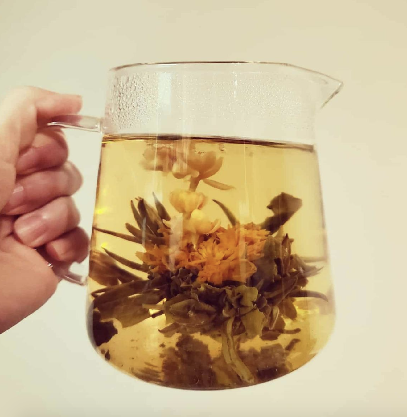 reviewer holding clear pitcher with blooming tea inside