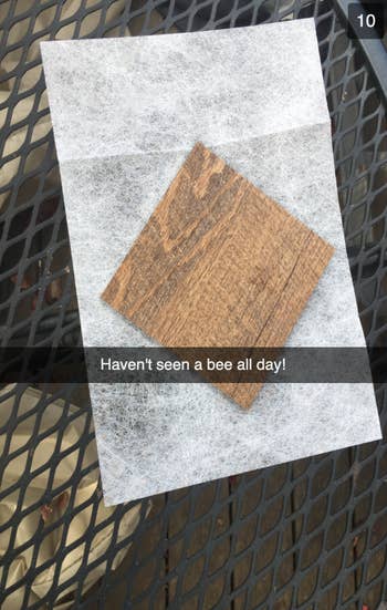 A dryer sheet on an outside table being held down by a coaster with the caption 