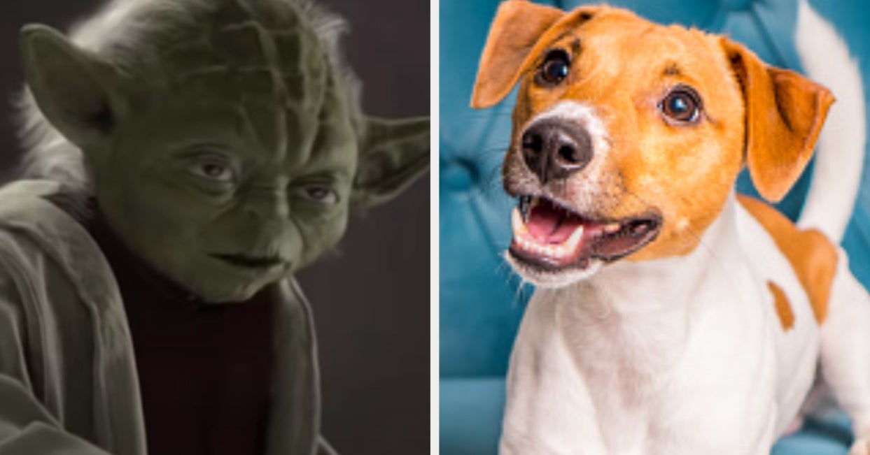 What Should Your Dog Be For Halloween?