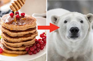 A stack of pancakes are on the left with an arrow in the center pointing at a polar bear