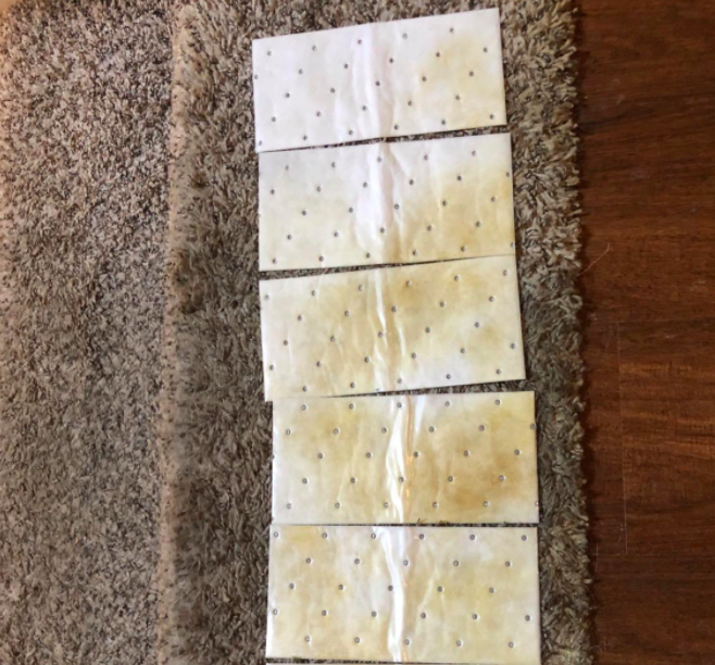 reviewer photo showing cleaning pads absorbing stains from carpet 