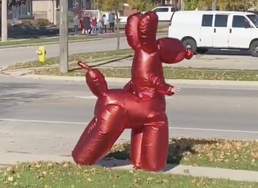 A woman wearing an inflatable costumes shaped like a balloon dog 