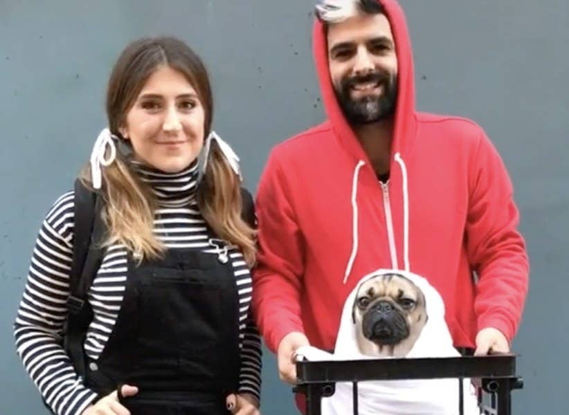 Most Adorable Pet Costumes From Tiktok The dog equivalent of taking a kid to disney to see their favorite character. most adorable pet costumes from tiktok