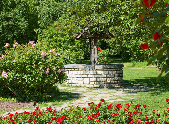 A well in the middle of a rose garden