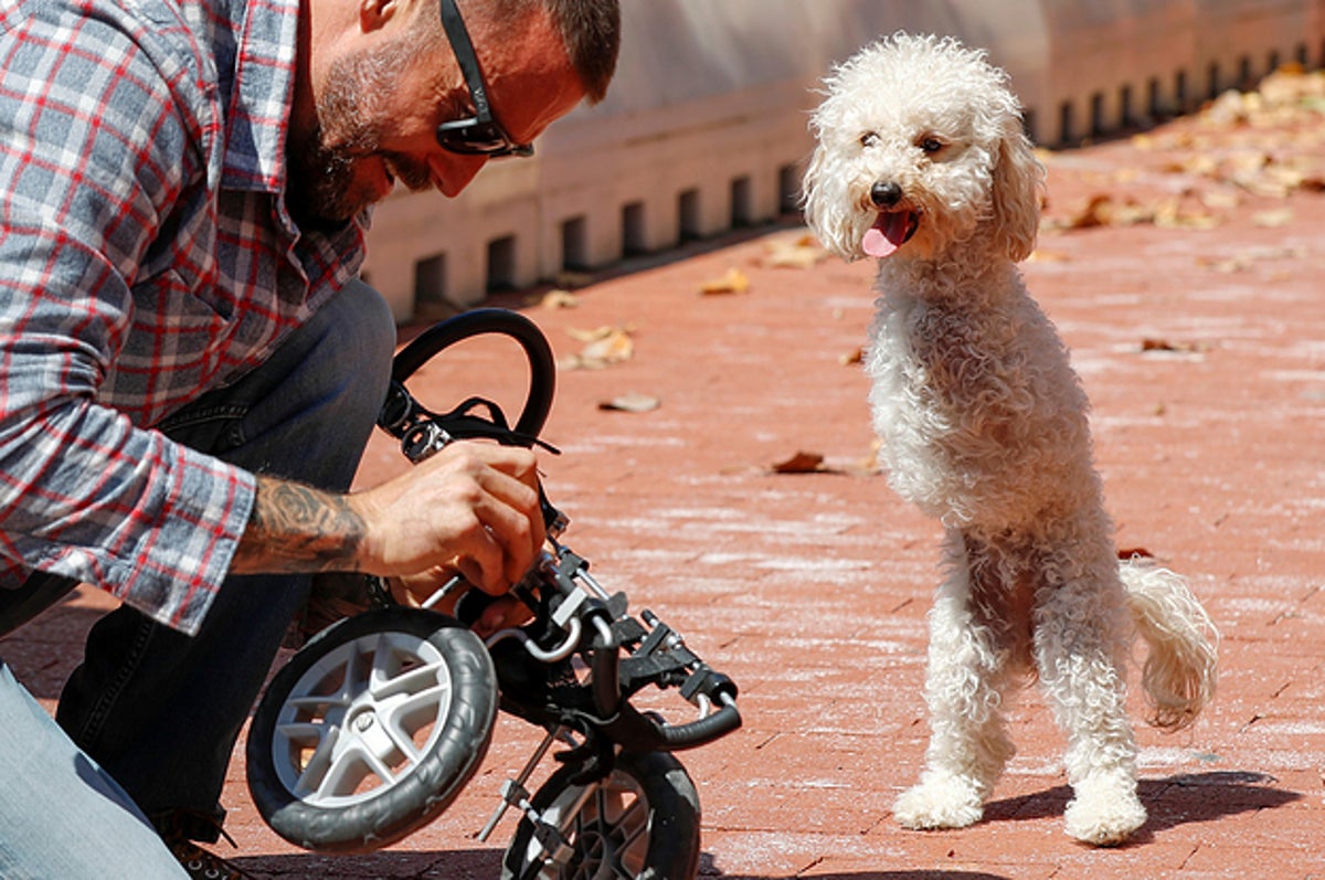 36 Pictures From 2019 That Will Restore Your Faith In Humanity 30 faith in humanity restored photos. 36 pictures from 2019 that will restore