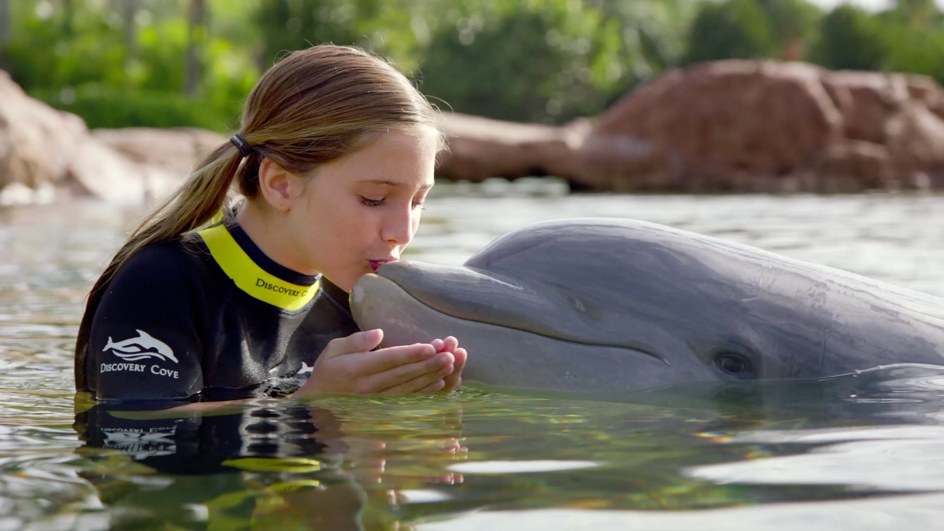 A young girl kissing a dolphin on its nose