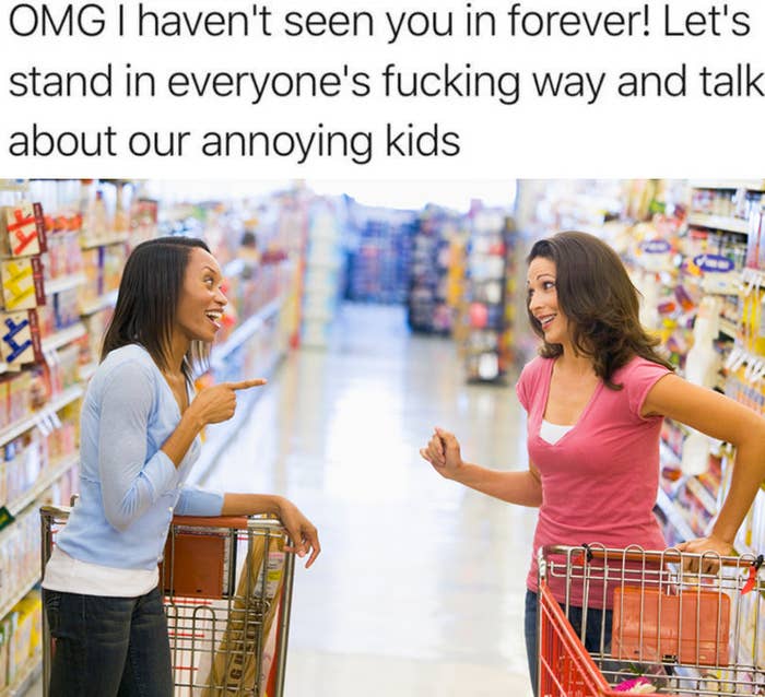 Meme of two people talking in an aisle with the text, OMG i haven&#x27;t seen you in forever! Let&#x27;s stand in everyone&#x27;s fucking way and talk about our annoying kids