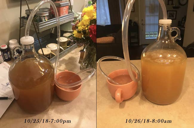 reviewer before and after of hard cider being made
