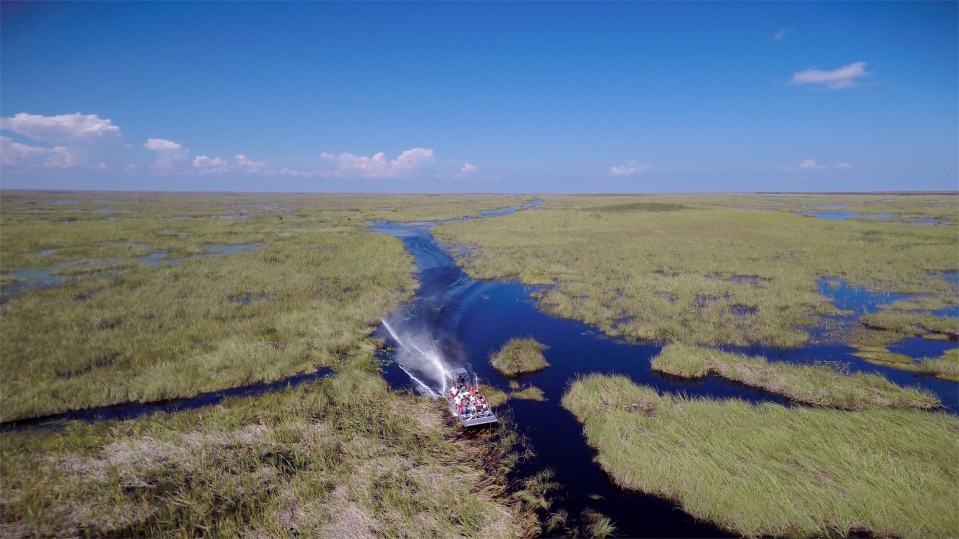 An airboat speeding through the Florida Everglades