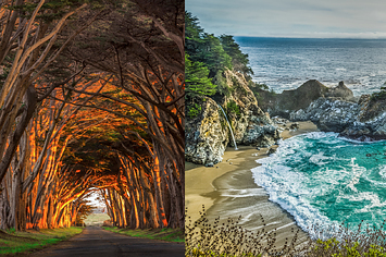 a stunning archway made of trees and a picturesque beach on a rocky shore 