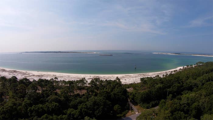 An aerial shot of some trees leading to the beach