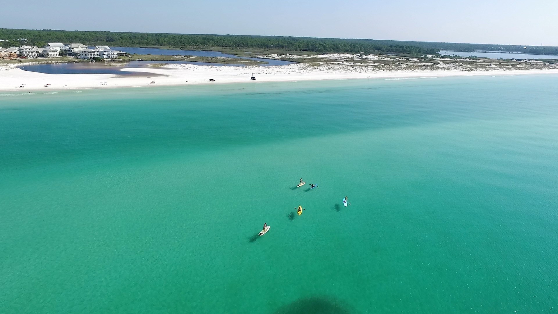 A group of people paddle-boarding far from the shore