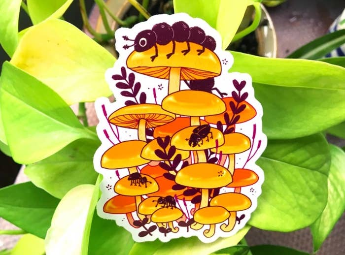 A 3-inch, weatherproof, vinyl sticker of Flammulina velutipes, or the wild enoki mushroom