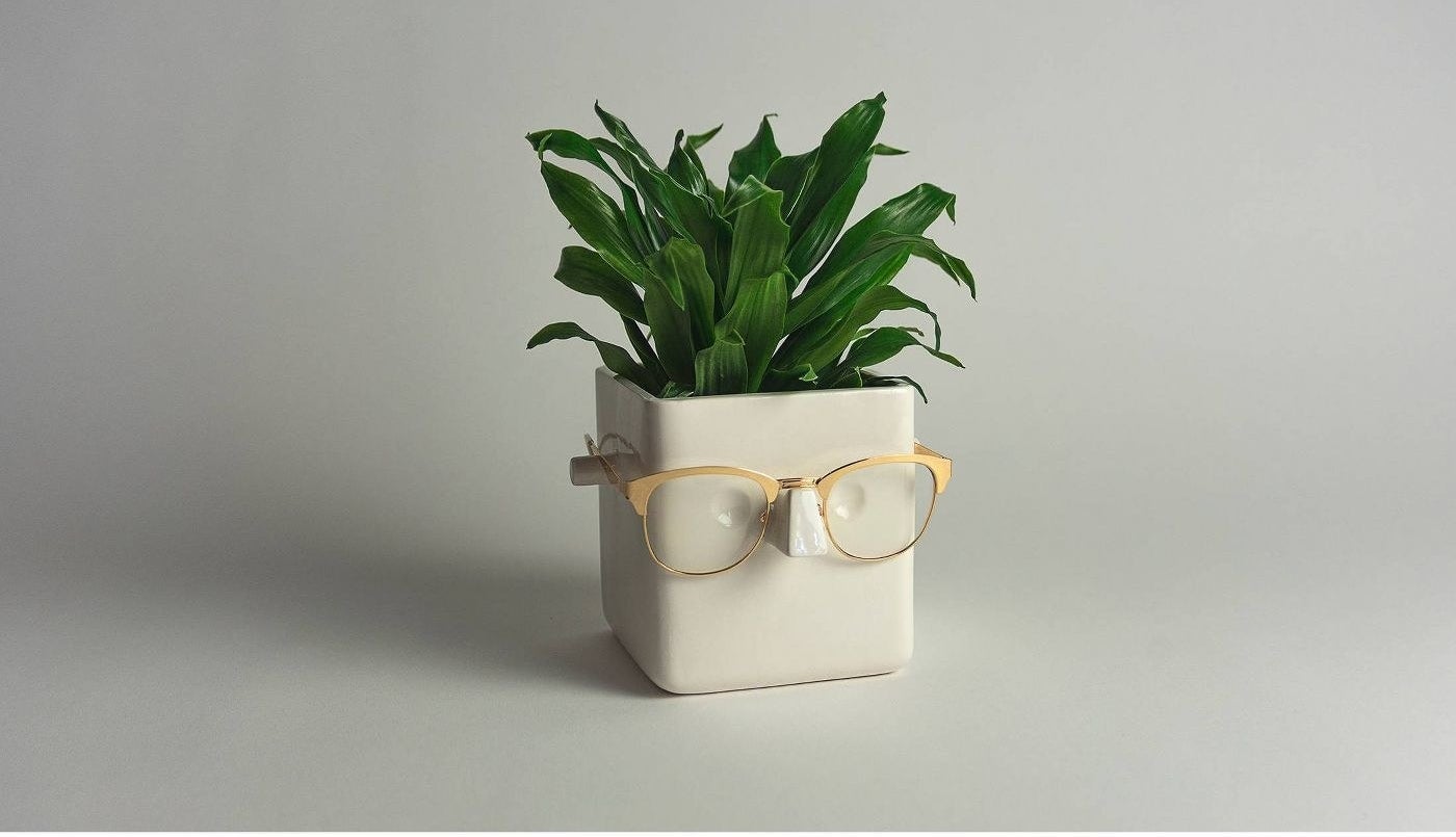 A small white cube-shaped planter, with pegs protruding from each side and a triangular nose area in front, so that you can hang your glasses 