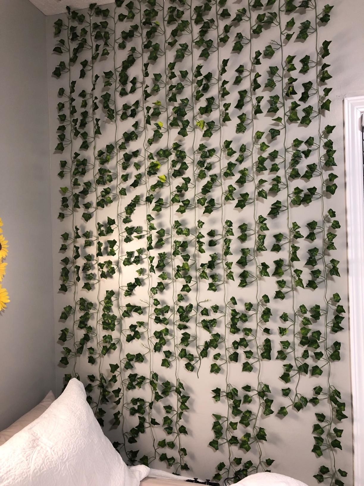 reviewer with the vines hanging on the wall next to their bed 