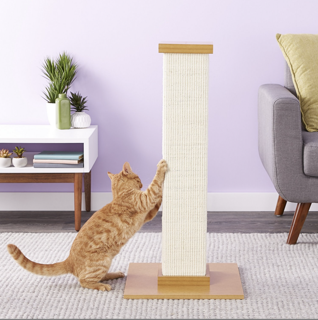 cat uses scratching post