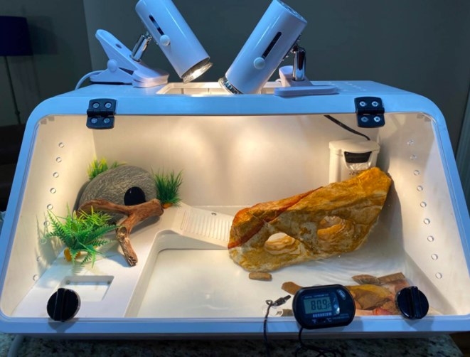 white turtle tank with a lamp and accessories inside