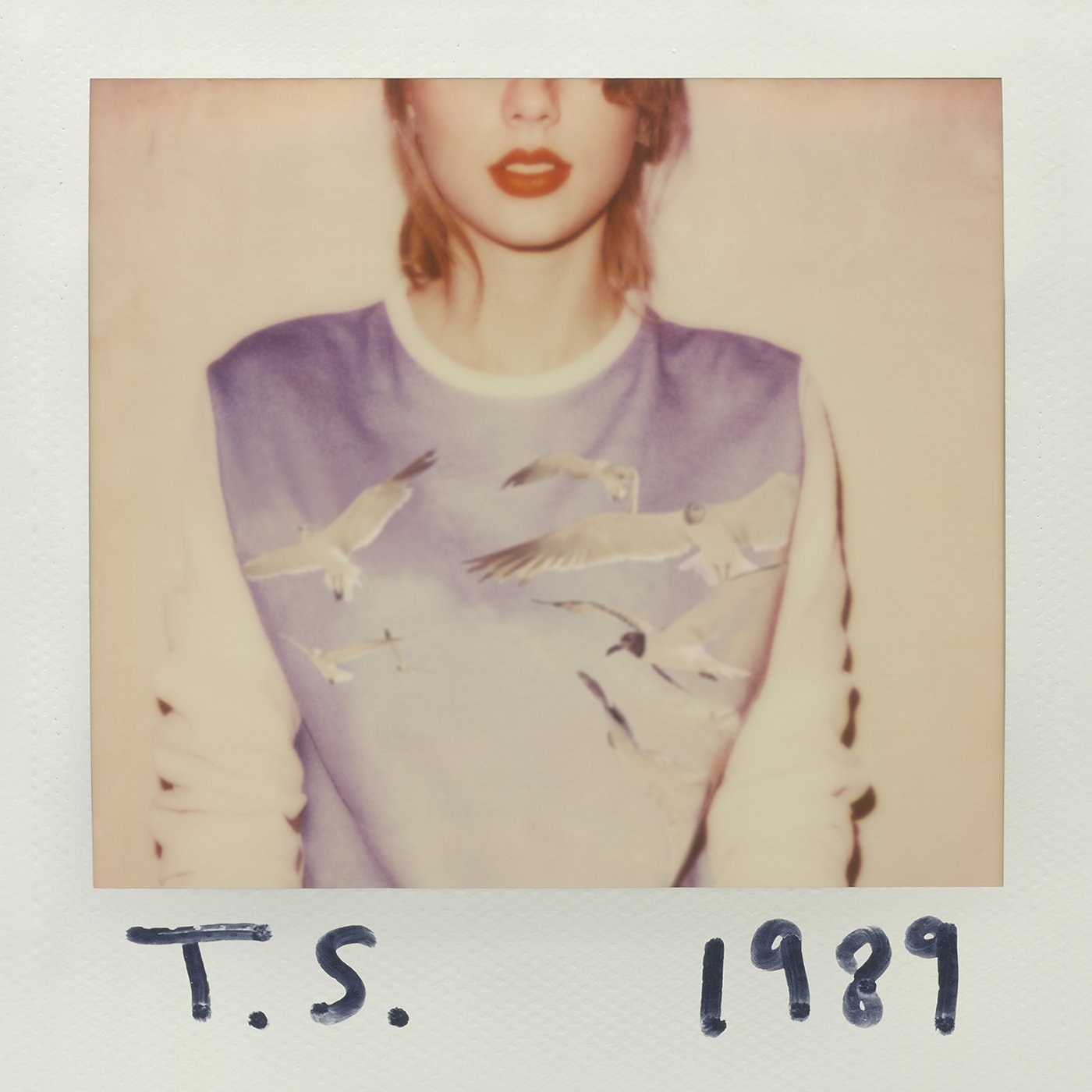 A polaroid of Taylor Swift in a bird sweater. 